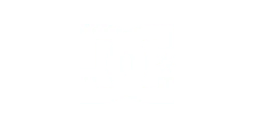 DC Shoes