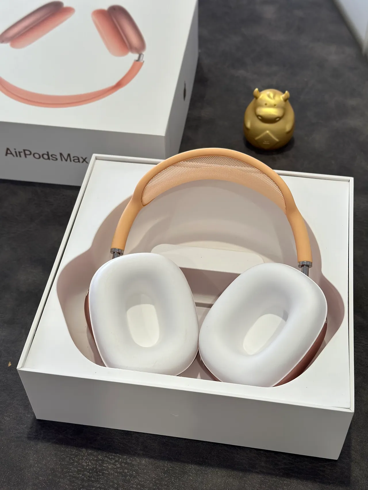 Apple AirPods Max Orange Beige সিলিকন কভার্ড ইয়ারকাপ মেশ হেডব্যান্ড ওভার-ইয়ার হেডফোন 13