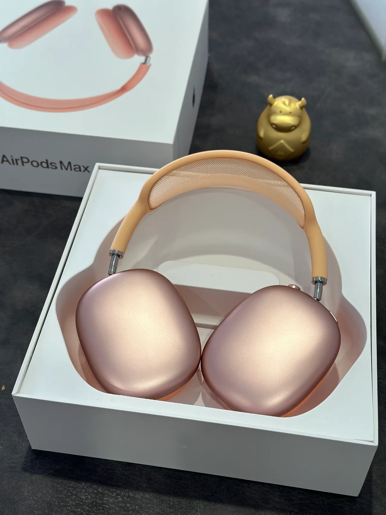 Apple AirPods Max Orange Beige সিলিকন কভার্ড ইয়ারকাপ মেশ হেডব্যান্ড ওভার-ইয়ার হেডফোন 14