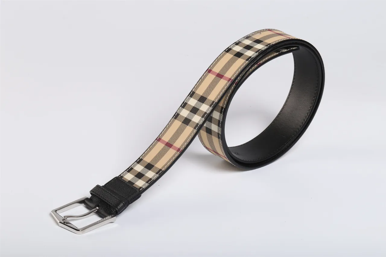 Burberry House Check Reversible Leather Belt 4