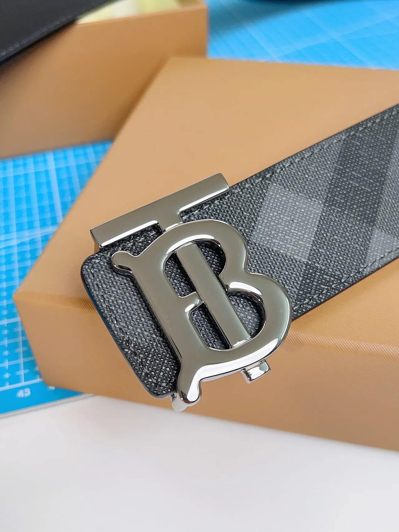 Burberry TB Belt Gray House Check Leather Belt 8