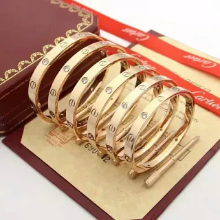 Cartier Love Bracelet Rose Gold Single Stone Rigid Hinged Bracelet