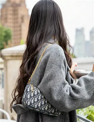 Dior Monograma Negro Dorado Lona Correa Cadena Bolso 18