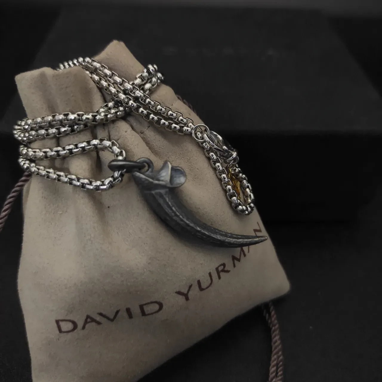 Silver Gold Oxidized Metal Claw-Shaped Pendant Necklace 2