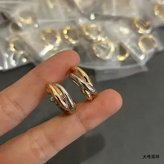 দুটোন আন্তঃবোন হুপ ইয়াররিংস