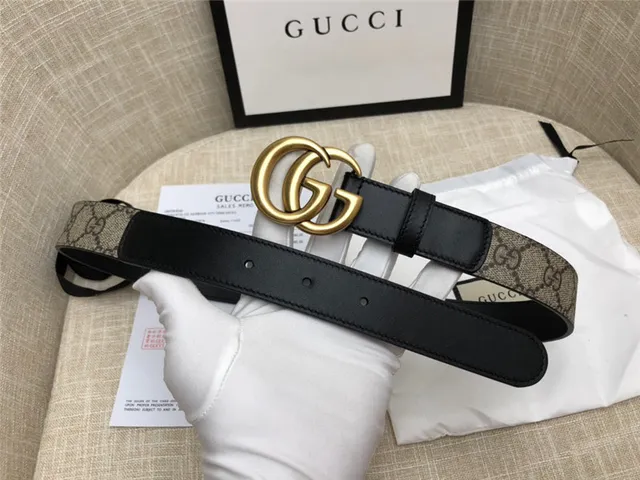 Gucci Horsebit 1955 棕色 金色 interlocking GG 扣环 Monogram 帆布 皮革 腰带 15