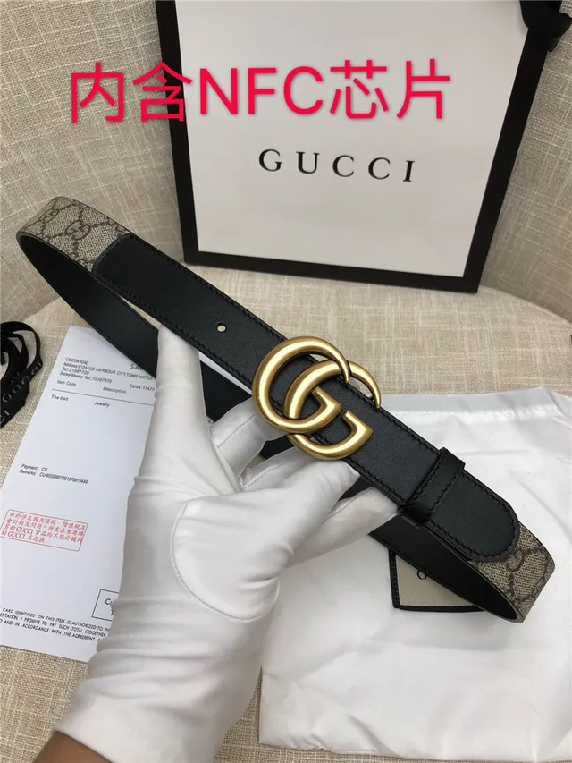 Gucci Horsebit 1955 棕色 金色 interlocking GG 扣环 Monogram 帆布 皮革 腰带 17