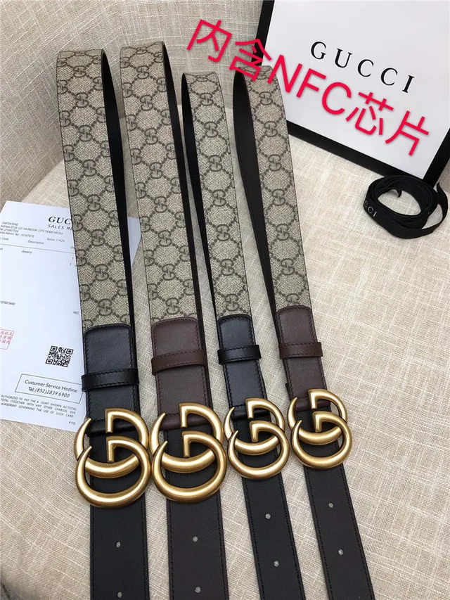 Gucci Horsebit 1955 棕色 金色 interlocking GG 扣环 Monogram 帆布 皮革 腰带 18