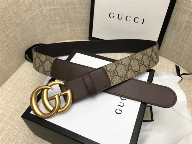 Gucci Horsebit 1955 棕色 金色 interlocking GG 扣环 Monogram 帆布 皮革 腰带 20