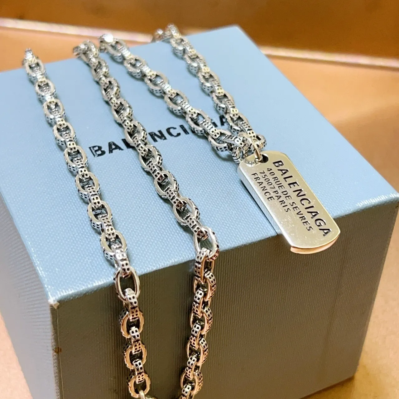 Balenciaga Dog Tag Silver Chain Necklace 4