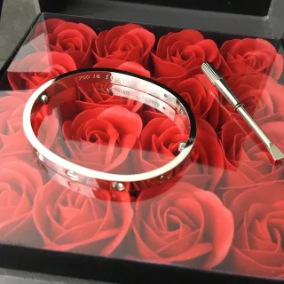 Cartier Love Bracelet Polished White Metal Screw-Motif Bracelet