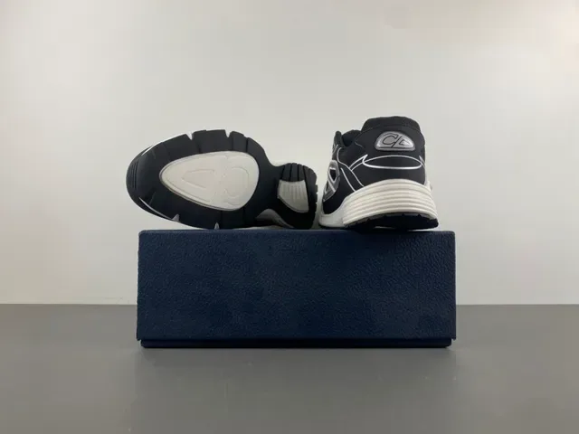 Dior B27 Sneakers Lifestyle Noir et Blanc 14