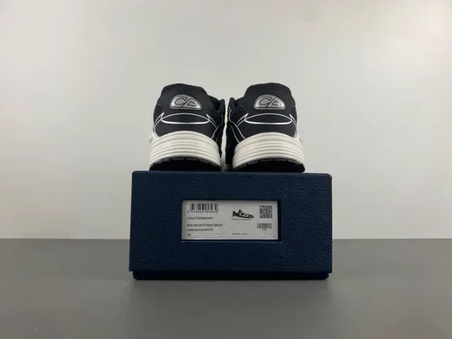 Dior B27 Sneakers Lifestyle Noir et Blanc 15