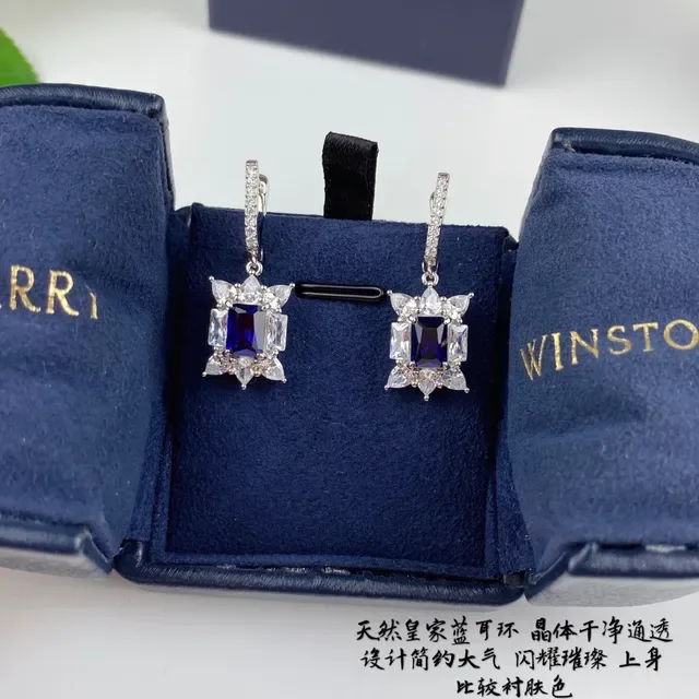 Blue and Clear Stone Dangling Lever-Back Earrings 5