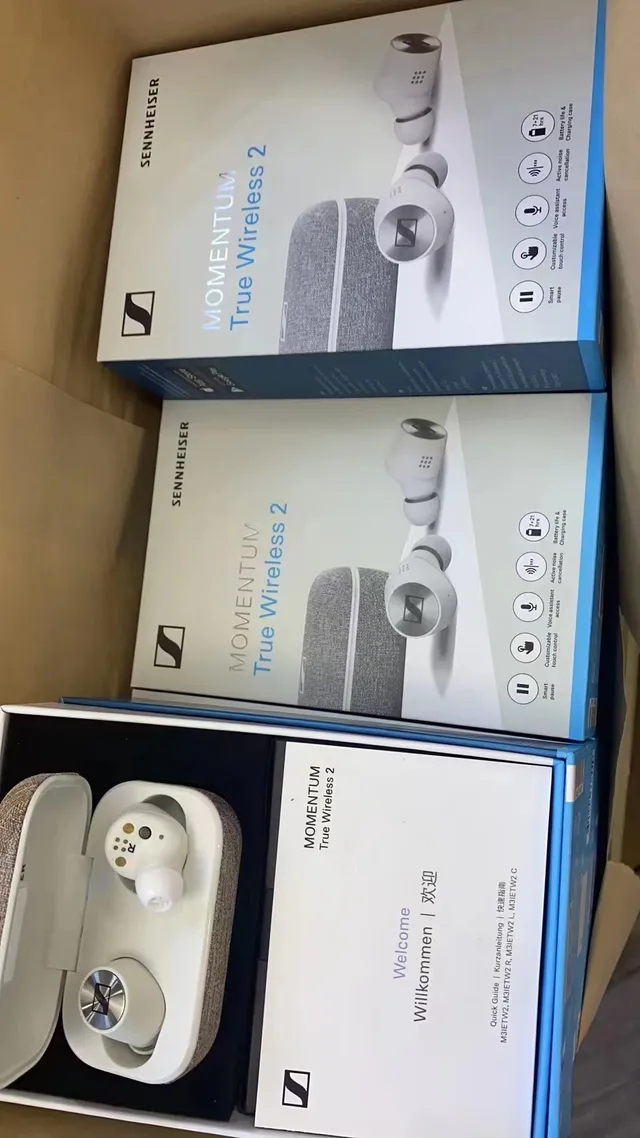 Sennheiser Momentum True Wireless Noir Argent Mat Circulaires Plaques TWS Écouteurs 2