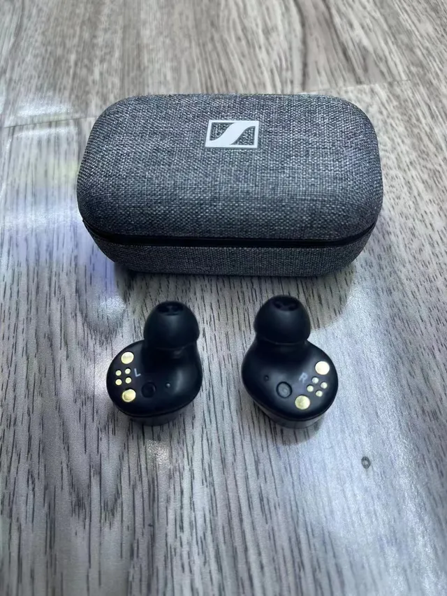 Sennheiser Momentum True Wireless Noir Argent Mat Circulaires Plaques TWS Écouteurs 3
