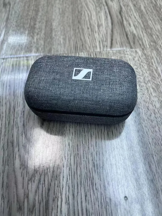 Sennheiser Momentum True Wireless Noir Argent Mat Circulaires Plaques TWS Écouteurs 4