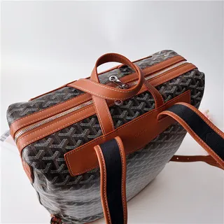 Goyard 绿色结构涂层帆布 V形单色图案休闲背包 4