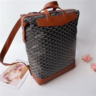 Goyard 绿色结构涂层帆布 V形单色图案休闲背包 6
