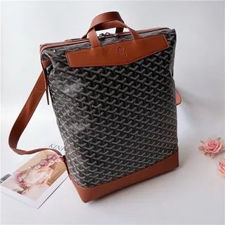 Goyard 绿色结构涂层帆布 V形单色图案休闲背包 7