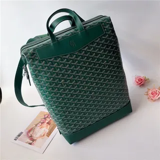 Goyard 绿色结构涂层帆布 V形单色图案休闲背包 15