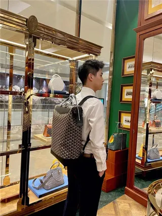 Goyard 绿色结构涂层帆布 V形单色图案休闲背包 19