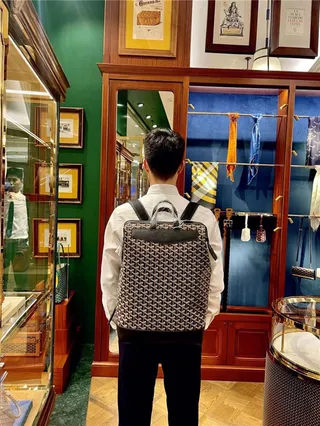 Goyard 绿色结构涂层帆布 V形单色图案休闲背包 20