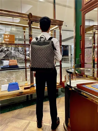 Goyard 绿色结构涂层帆布 V形单色图案休闲背包 21