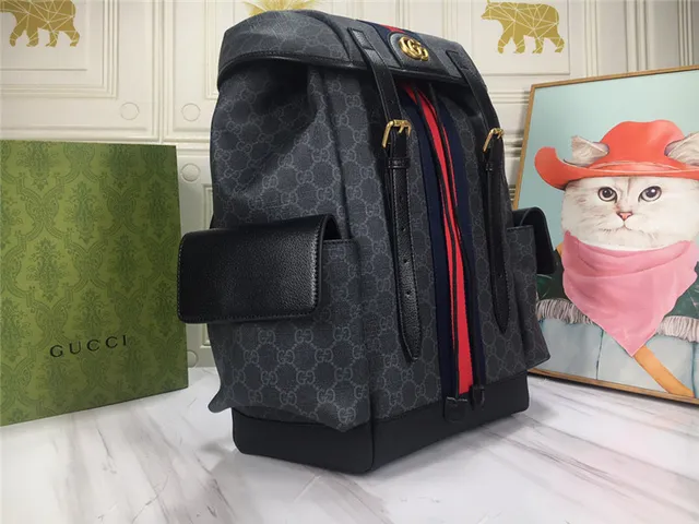 Gucci Ophidia GG Monogram Canvas Web Stripe sac à dos casual 18