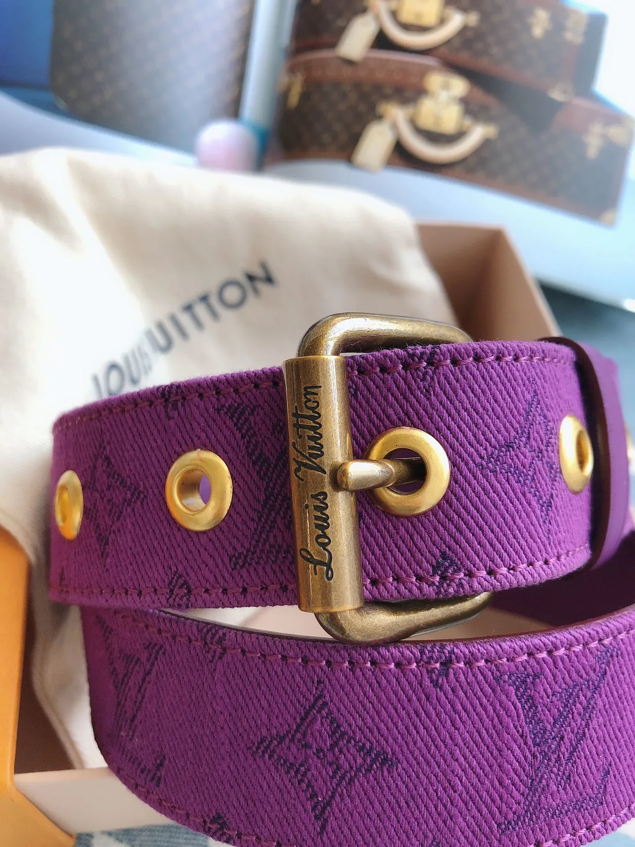 Louis Vuitton Monogram Ceinture Violet Or Tissée Gravée Boucle Toile 9