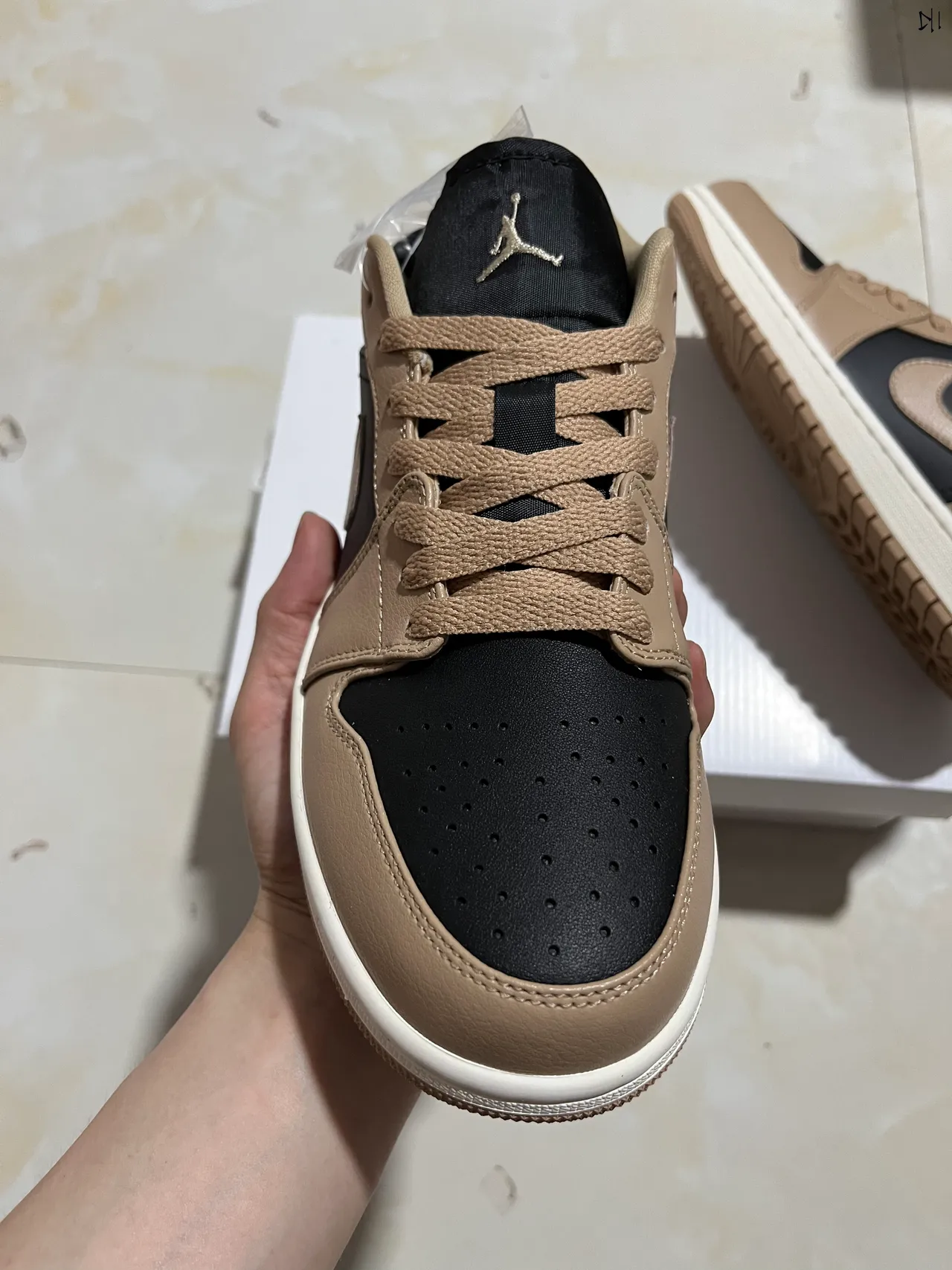 Nike Dunk Low Beige and Black Lifestyle Sneakers 2