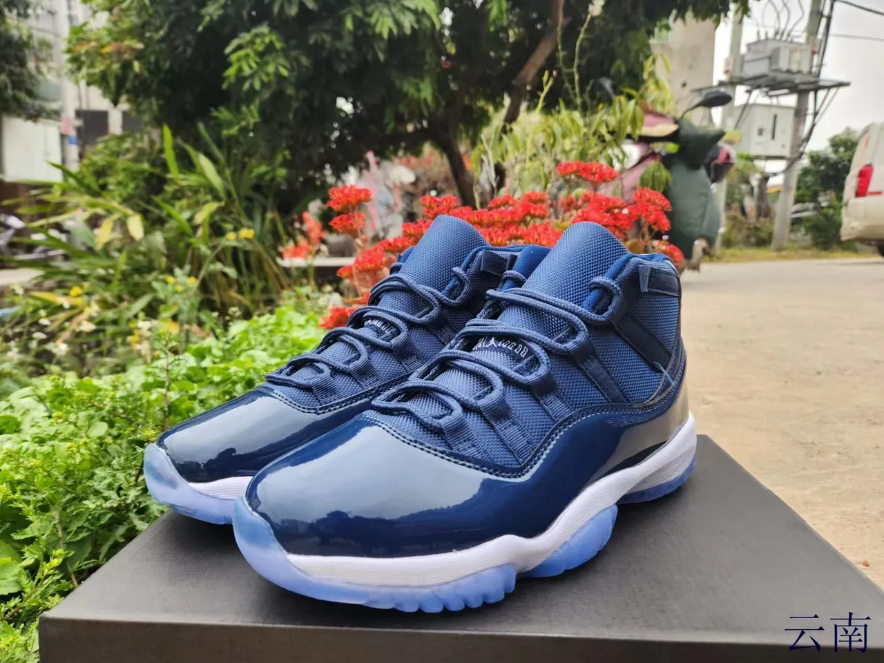 Tênis de basquete Air Jordan 11 em couro envernizado azul royal e preto 5