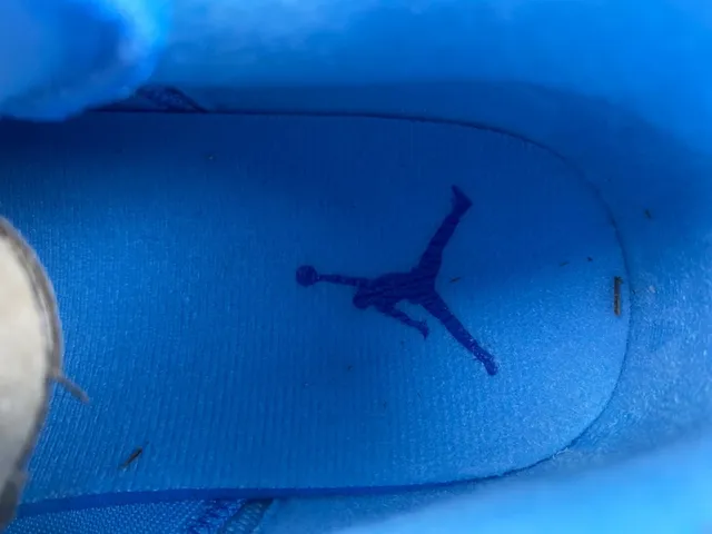 Air Jordan 3 Tênis de Basquete com estampado de elefante em azul claro 11