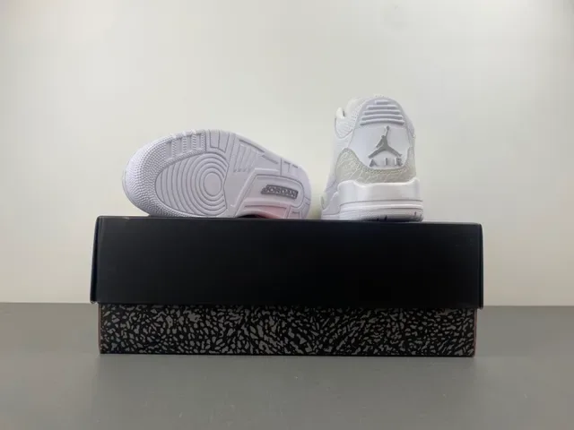 Air Jordan 3 白色象纹篮球鞋 16