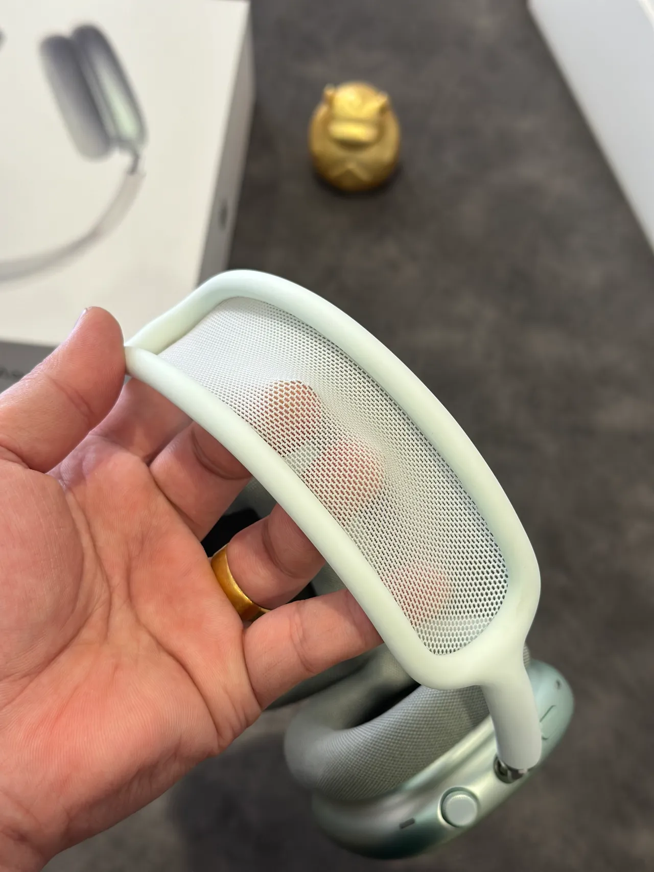 Apple AirPods Max Sage Green Over-ear Headphones 13