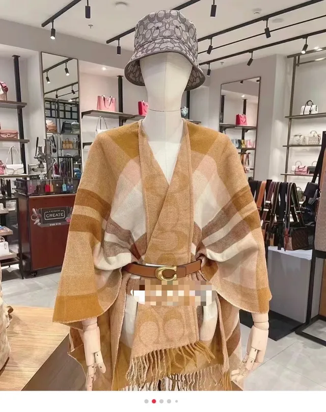 Beige and Brown Plaid Fringed Woven Shawl 4