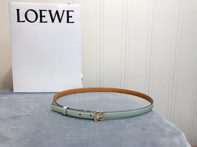 Loewe Anagram Belt মিন্ট সবুজ এবং বাদামি চামড়া বেল্ট 3