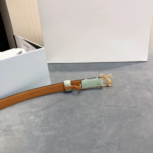 Loewe Anagram Belt মিন্ট সবুজ এবং বাদামি চামড়া বেল্ট 5