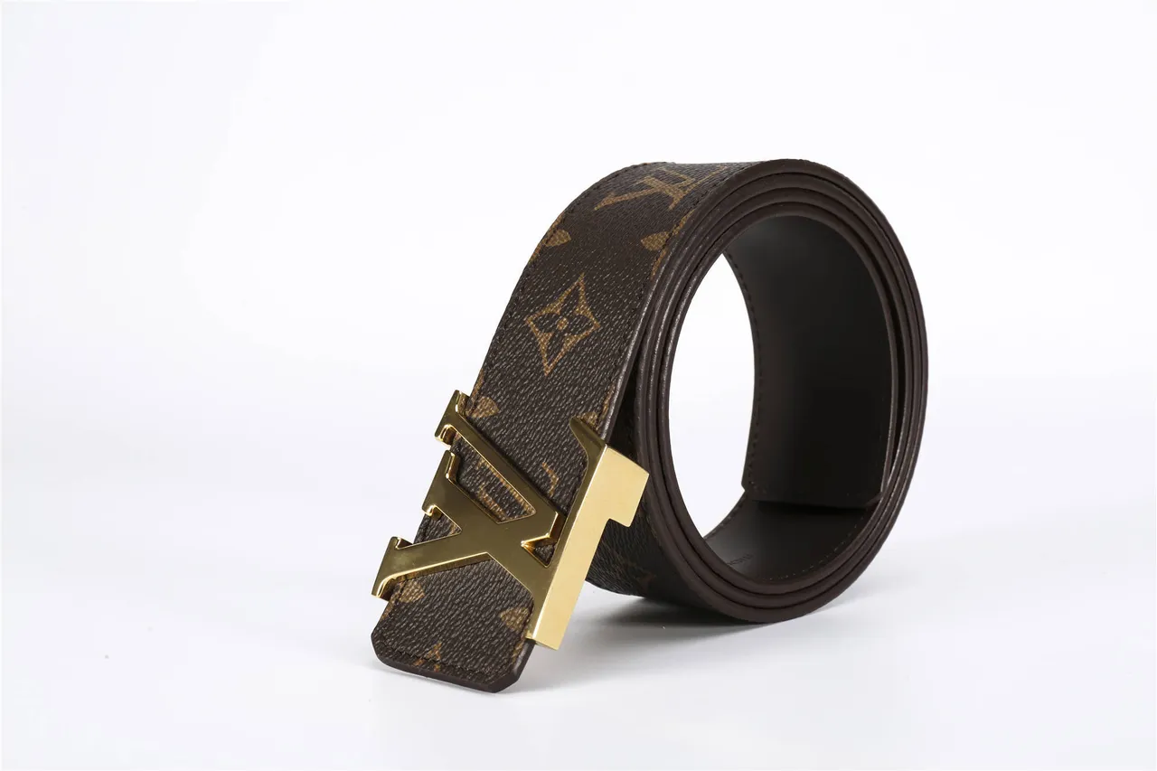 Louis Vuitton بني ذهبي مونوغرाम كانفاس LV مشبك جلد حزام 5