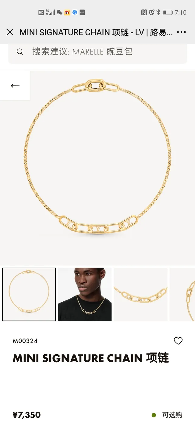 Louis Vuitton قلادة سلاسل ذهبي وردي ذهبي فضي 7