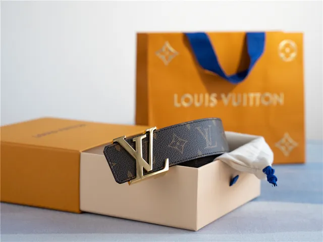 Louis Vuitton LV 棕色 金色 花押 帆布 扣 皮革 腰带 3