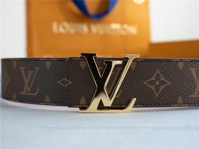 Louis Vuitton LV 棕色 金色 花押 帆布 扣 皮革 腰带 8