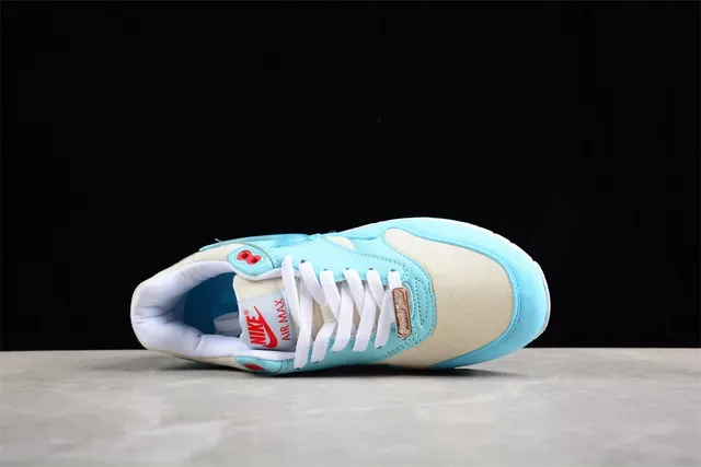 Nike Air Max 1 Sneakers Lifestyle Bleu clair et blanc 12