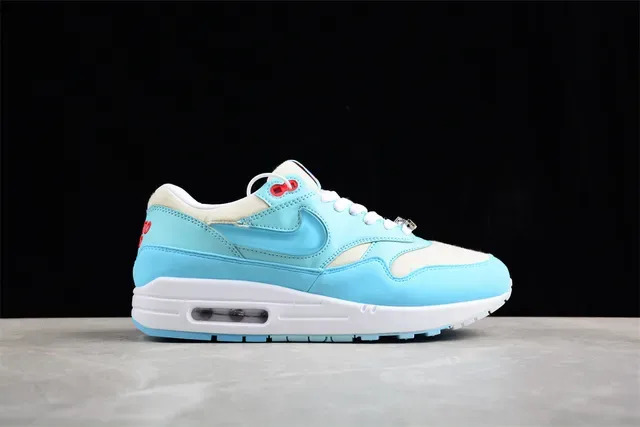 Nike Air Max 1 Sneakers Lifestyle Bleu clair et blanc 14
