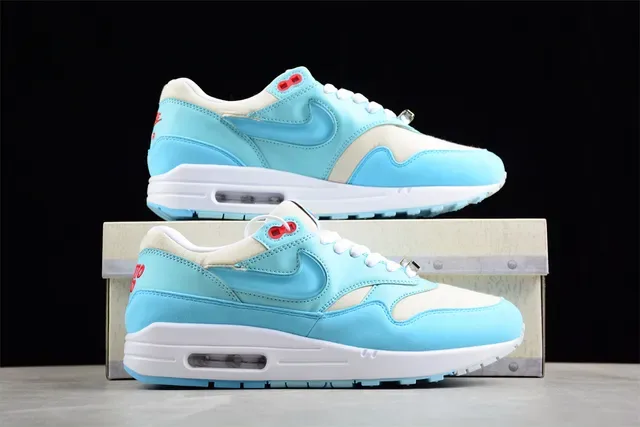 Nike Air Max 1 Sneakers Lifestyle Bleu clair et blanc 15