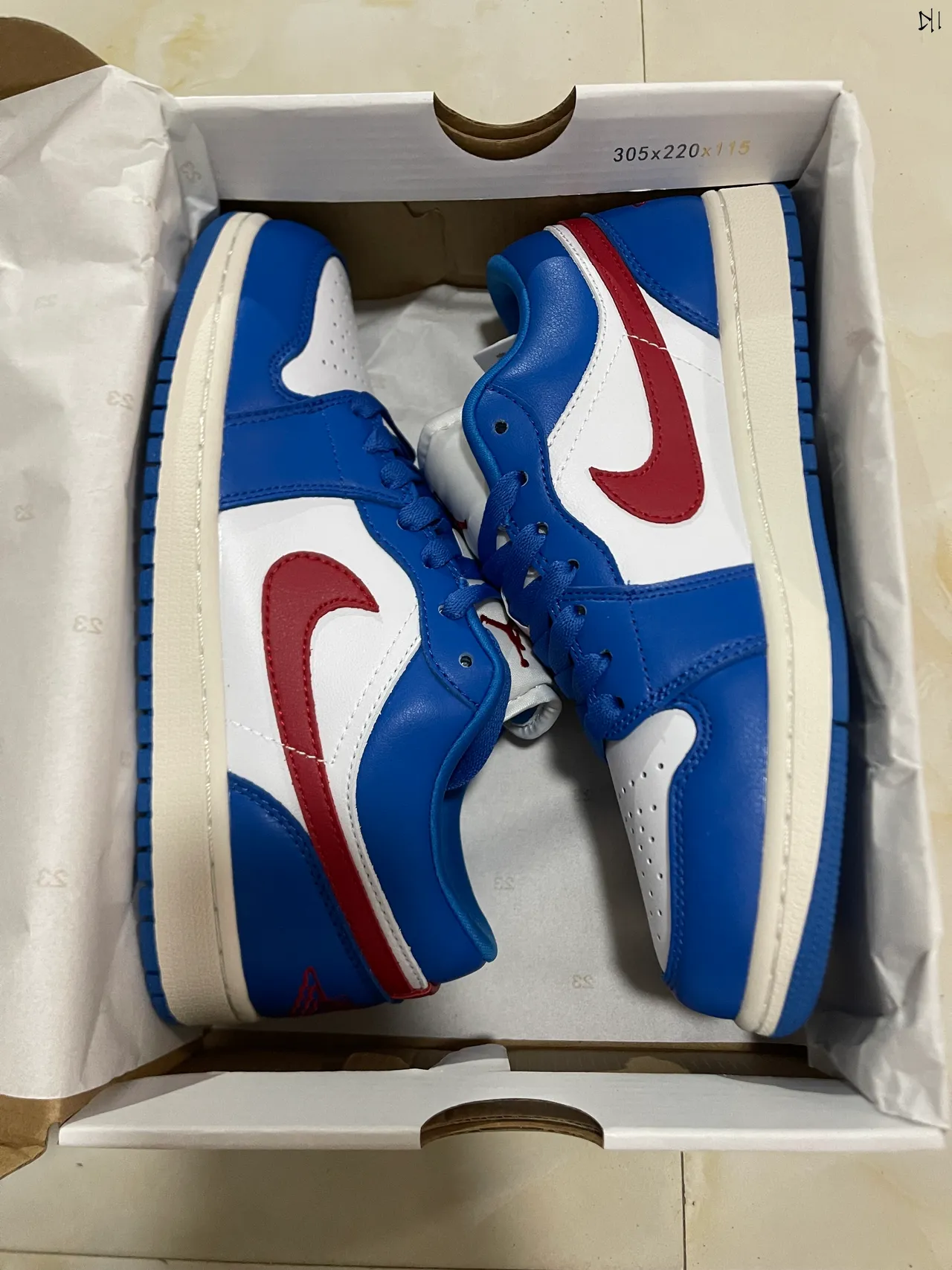 Nike Blue Red Low-Top Leather Upper Lifestyle Sneakers 7