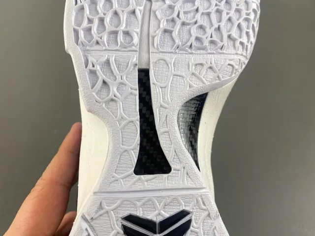 Nike Bleu Blanc Haut Texturé Pebble Upper Chaussures de Basketball 9