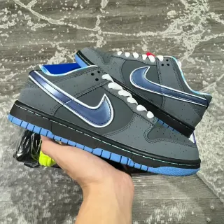 Nike SB Dunk Low Gray Blue Swoosh Skateboard Shoes