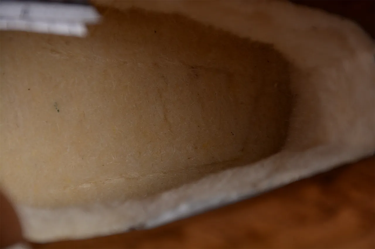 UGG Tasman 米棕 绗缝保暖领 麂皮雪地靴 4