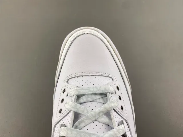 Air Jordan 3 Zapatillas de Baloncesto con Impresión de Elefante Blanco 5